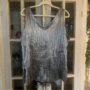 Roz & Ali Shimmering Silver Layered Blouse
